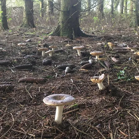 La Boutique Naturelle *