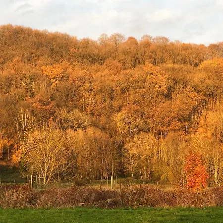 La Boutique Naturelle Vresse-sur-Semois