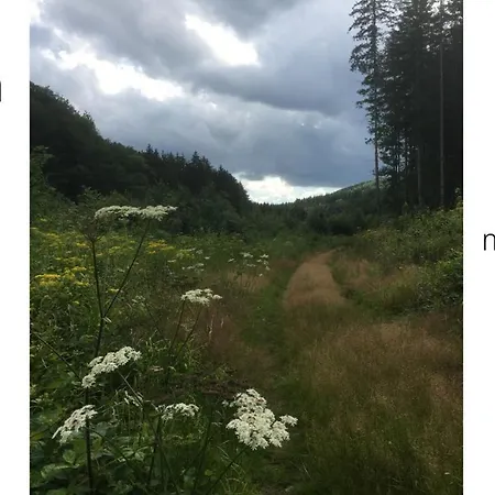 La Boutique Naturelle *