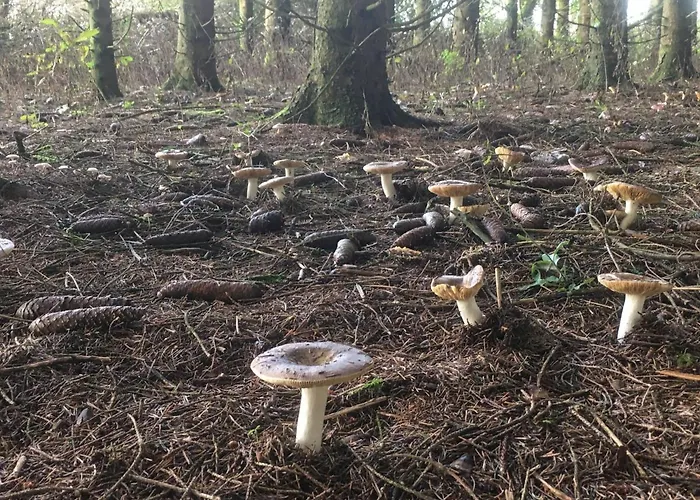 La Boutique Naturelle *