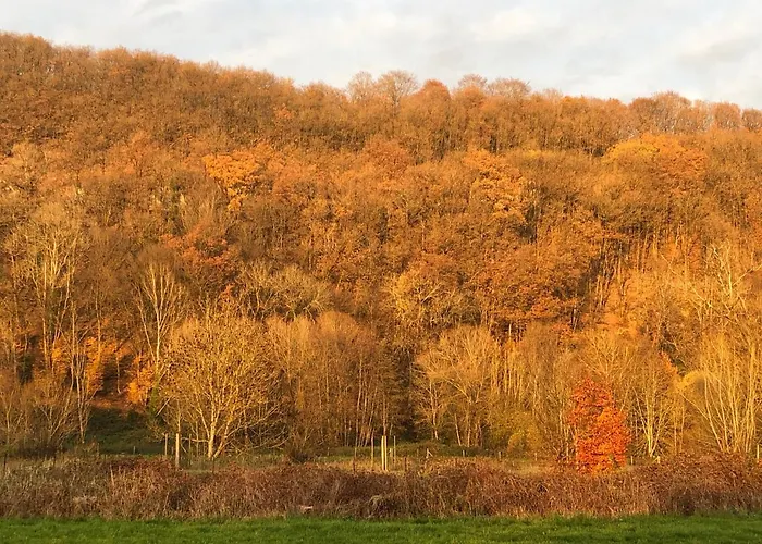 La Boutique Naturelle Vresse-sur-Semois